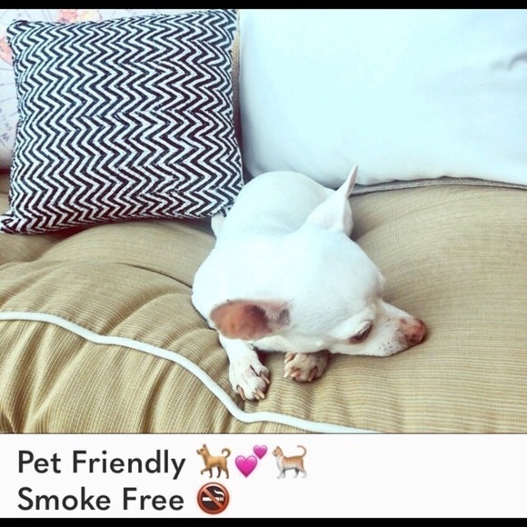 JOIE NWOT black tux trouser jean Vintage - sample sale - Picture 5 of 5